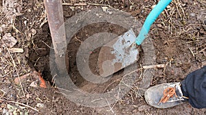 shoveling an iron pole out of the ground by hand