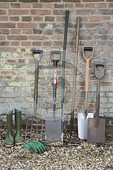 Shovels And Gardening Tools