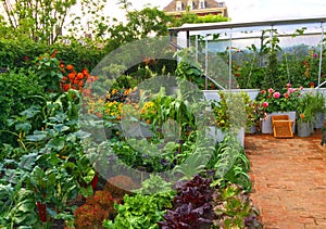 A show garden at the Chelsea Flower Show