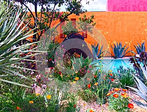 A show garden at the Chelsea Flower Show