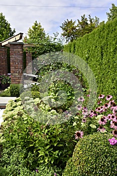 Show Garden, an English garden full of blooming summer flowers and green plants, surrounded by a red brick wall.