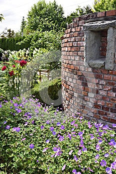 Show garden, English style with red brick wall and plants.