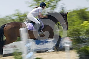 Show Jumper