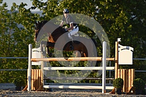 Show jumping