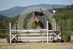 Show jumping