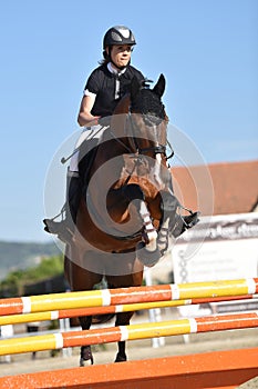 Show jumping