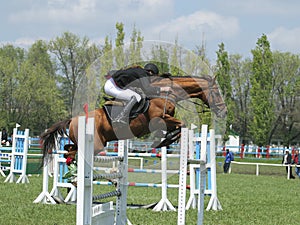 Show jumping