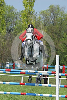 Show jumping