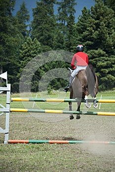 Show jumping horse and rider