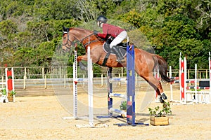 Show jumping rider and horse