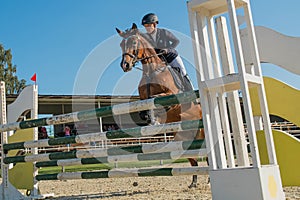 Show jumping. Summer Cup Competition 2018