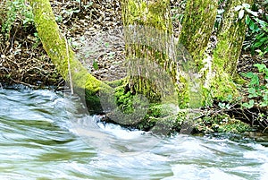 Show Shutter Speed Water