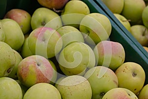 Showcase with apples in a supermarket. A lot of green apples. The choice of products. Fruit