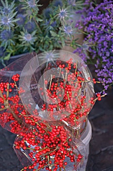 Showcase of a flower shop on a city street. Flower baskets with red berries, flowers on display in a store. Christmas