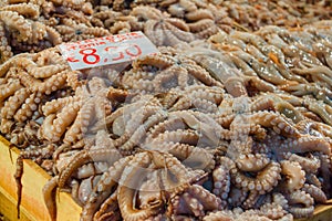 Showcase of fresh octopus