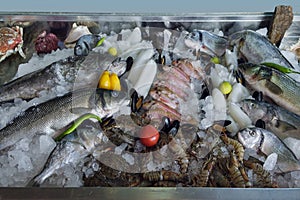 Showcase with freshly frozen fish and seafood
