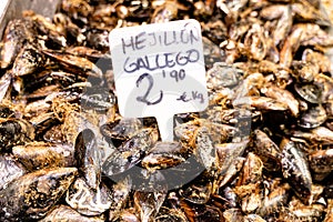 Showcase of mollusc in the Mercat de la Boqueria, Barcelona