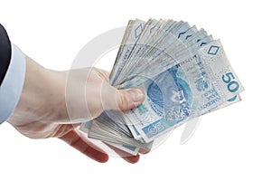 Showcase of Polish 50 PLN Banknotes on White