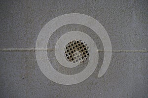 Shower Drain Hole