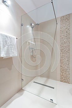 Shower with glass door