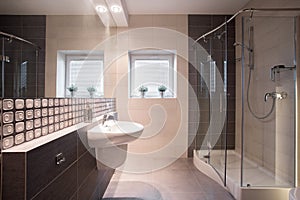 Shower with glass door