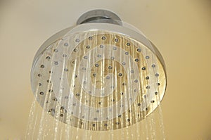 Shower head