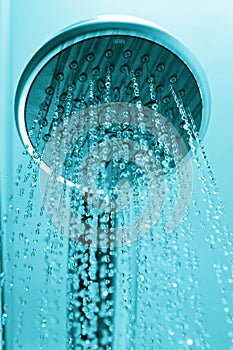 Shower head