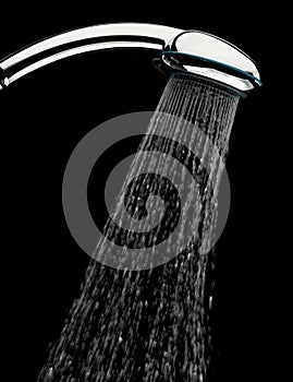 Shower head