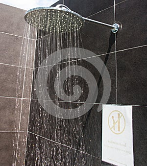 Shower head