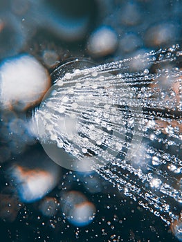 Shower head with flow of water spilling out closeup.