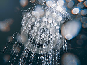 Shower head with flow of water spilling out closeup.