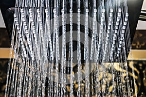 Shower head with rain spout