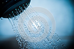 Shower head