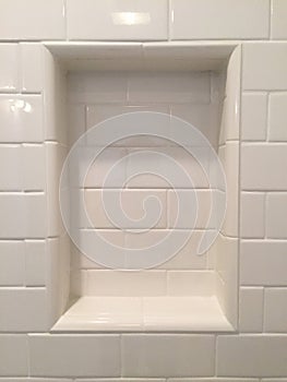 Shower shampoo niche