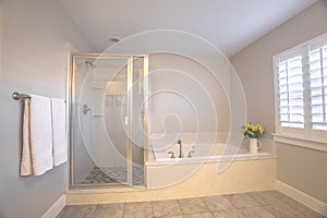 Shower stall and built in bathtub inside a bathroom with light gray wall