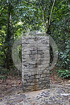 Shower on tropical forest at `Bosque da Freguesia`, Freguesia Forest Public Park photo