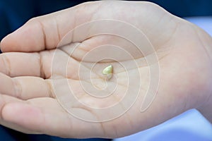 Showing baby tooth first Fall out. photo