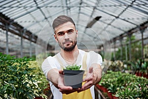 Showing off. Photo of beautiful bearded greenhouse worker holding the vase in hands