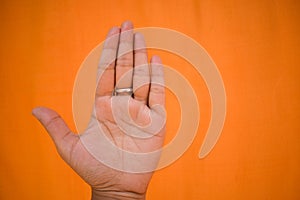Showing palm against orange background