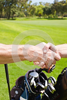 Showing their sportsmanship. Golfing partners shaking hands after a game of golf.