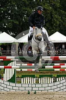 Showjumping action