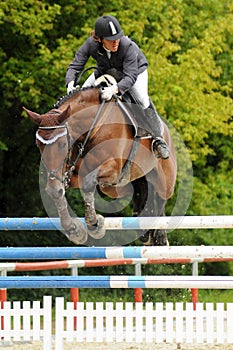 Showjumping action