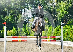 Showjumping competition, bay horse and rider in black uniform performing jump over the bridle.