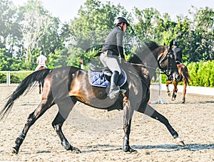 Showjumping competition, bay horse and rider in black uniform performing jump over the bridle.