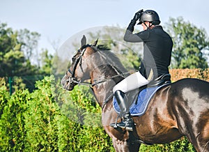 Showjumping competition, bay horse and rider in black uniform performing jump over the bridle.