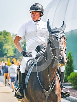 Showjumping competition, bay horse and rider in white uniform performing jump over the bridle.