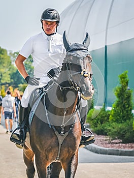 Showjumping competition, bay horse and rider in white uniform performing jump over the bridle.