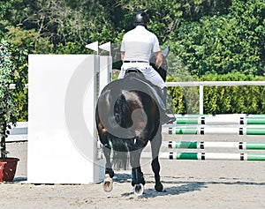 Showjumping competition, bay horse and rider in white uniform performing jump over the bridle.