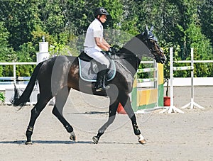 Showjumping competition, bay horse and rider in white uniform performing jump over the bridle.