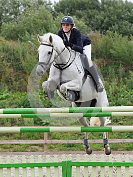 Showjumping Horse